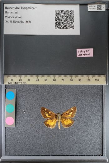 Media type: image;   Entomology 197426